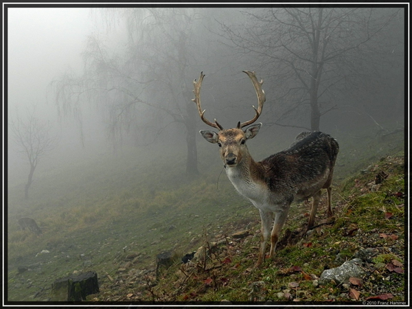 Foto des Monats